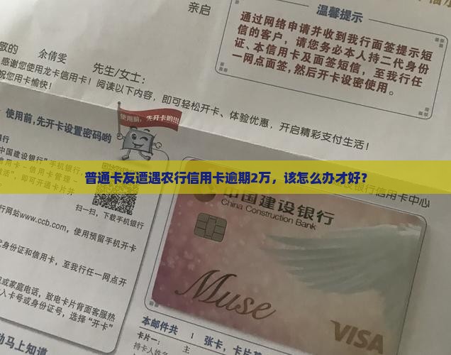 普通卡友遭遇农行信用卡逾期2万，该怎么办才好？