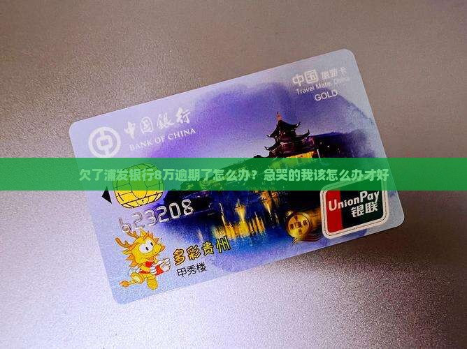 欠了浦发银行8万逾期了怎么办？急哭的我该怎么办才好