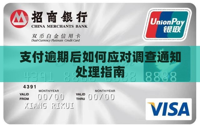 支付逾期后如何应对调查通知处理指南