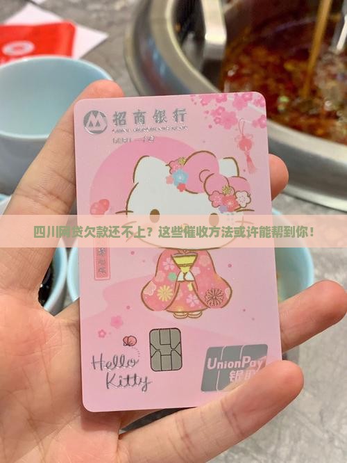 四川网贷欠款还不上？这些催收方法或许能帮到你！