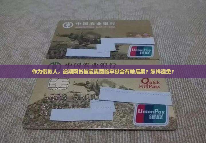作为借款人，逾期网贷被起爽面临牢狱会有啥后果？怎样避免？