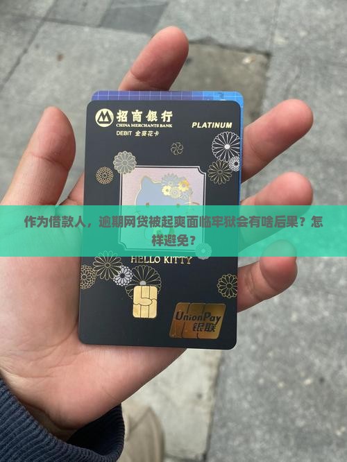 作为借款人，逾期网贷被起爽面临牢狱会有啥后果？怎样避免？