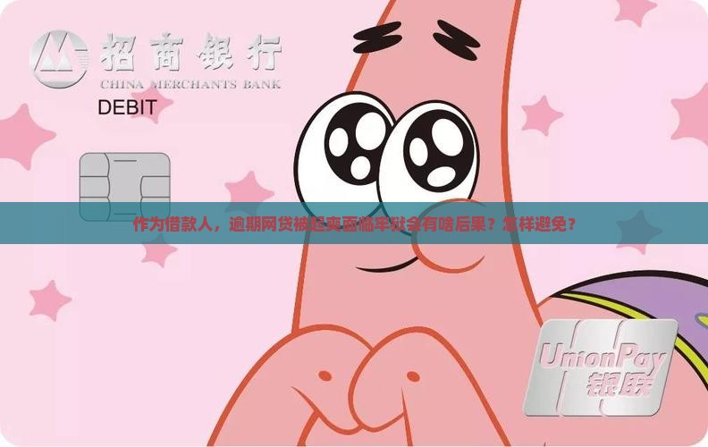 作为借款人，逾期网贷被起爽面临牢狱会有啥后果？怎样避免？