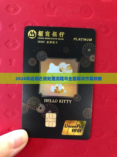 2024年逾期还款处理流程与全面解决方案攻略