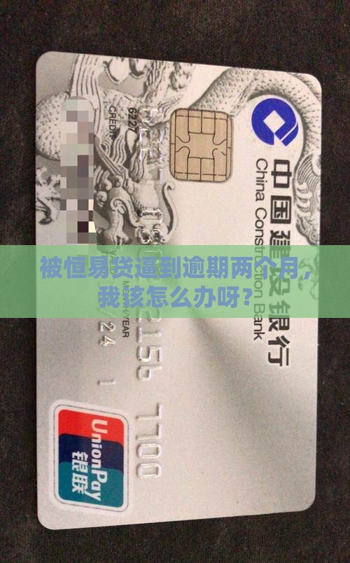 被恒易贷逼到逾期两个月，我该怎么办呀？
