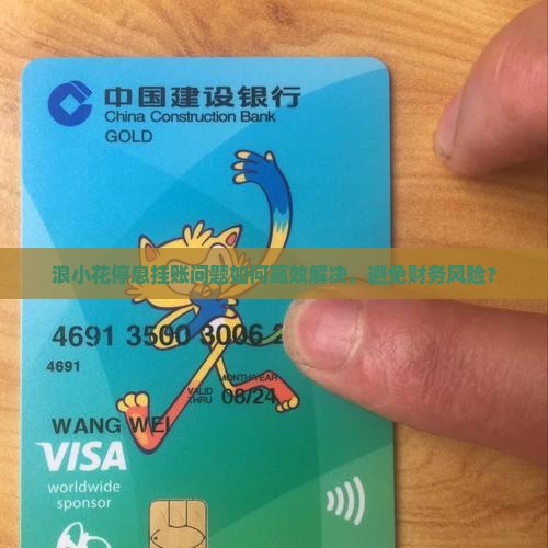 浪小花停息挂账问题如何高效解决，避免财务风险？