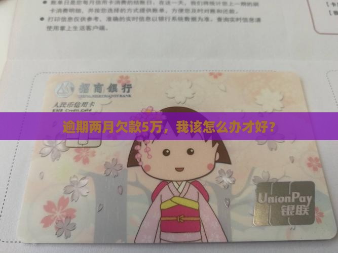 逾期两月欠款5万，我该怎么办才好？
