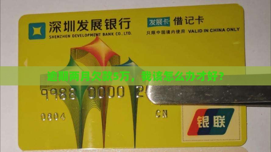 逾期两月欠款5万，我该怎么办才好？