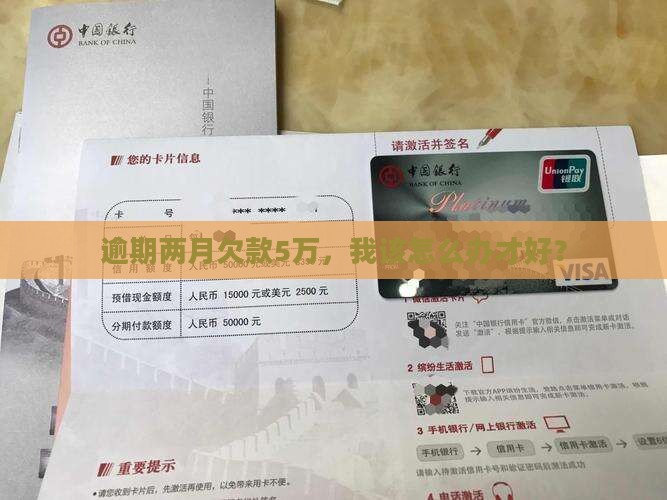 逾期两月欠款5万，我该怎么办才好？