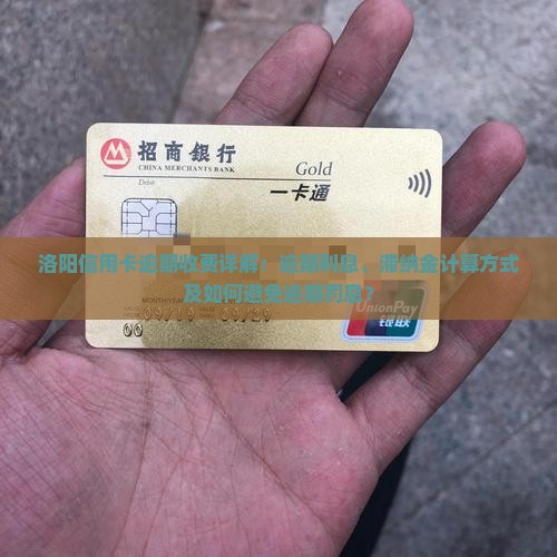 洛阳信用卡逾期收费详解：逾期利息、滞纳金计算方式及如何避免逾期罚息？