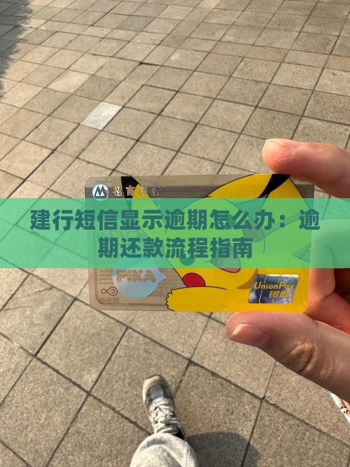 建行短信显示逾期怎么办：逾期还款流程指南