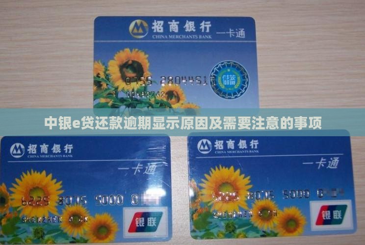 中银e贷还款逾期显示原因及需要注意的事项