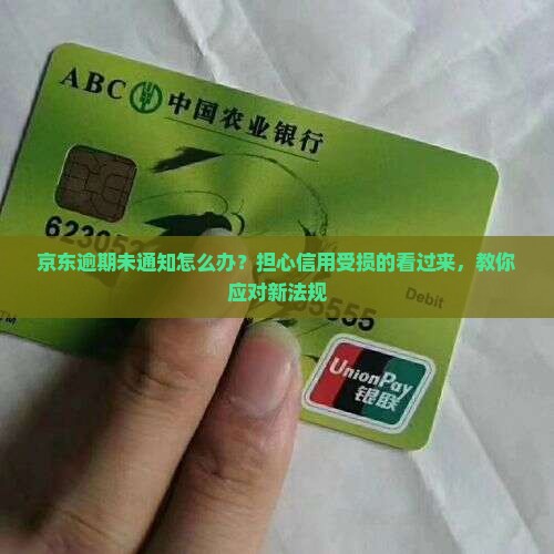 京东逾期未通知怎么办？担心信用受损的看过来，教你应对新法规
