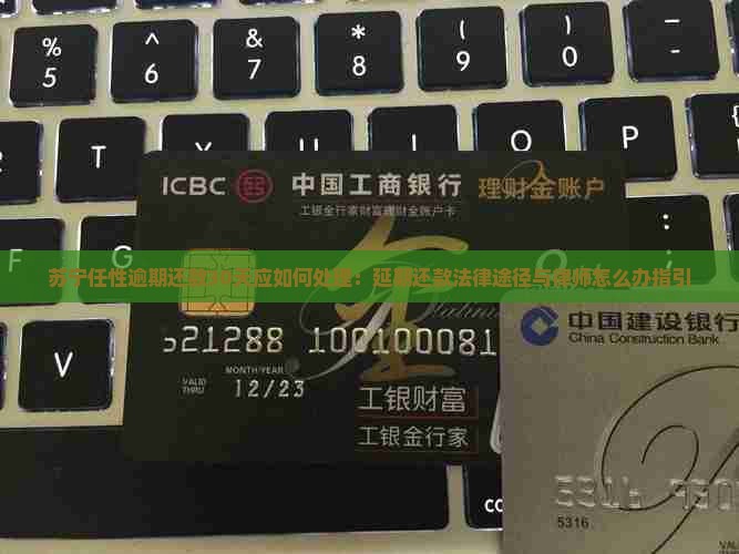 苏宁任性逾期还款30天应如何处理：延期还款法律途径与律师怎么办指引