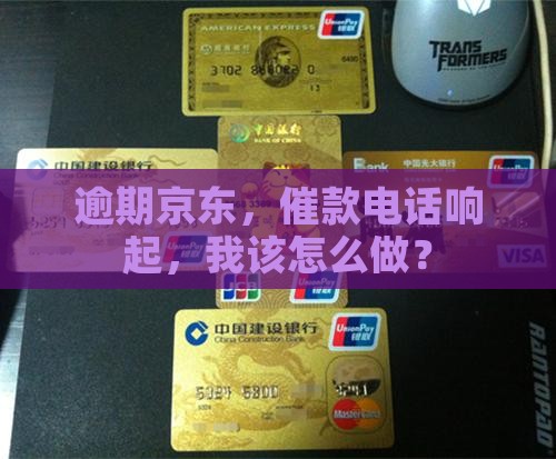 逾期京东，催款电话响起，我该怎么做？
