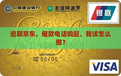 逾期京东，催款电话响起，我该怎么做？