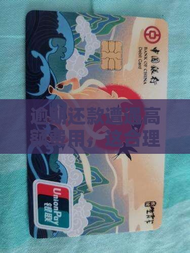 逾期还款遭遇高额费用，这合理吗？