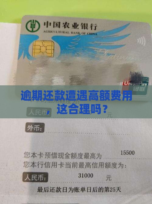 逾期还款遭遇高额费用，这合理吗？
