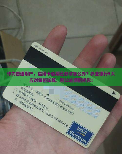 作为普通用户，信用卡逾期还款该怎么办？农业银行5大应对策略详解，别让逾期困扰你！