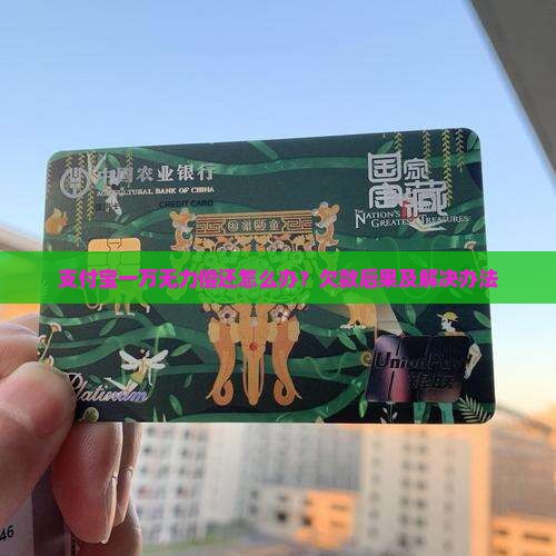 支付宝一万无力偿还怎么办？欠款后果及解决办法