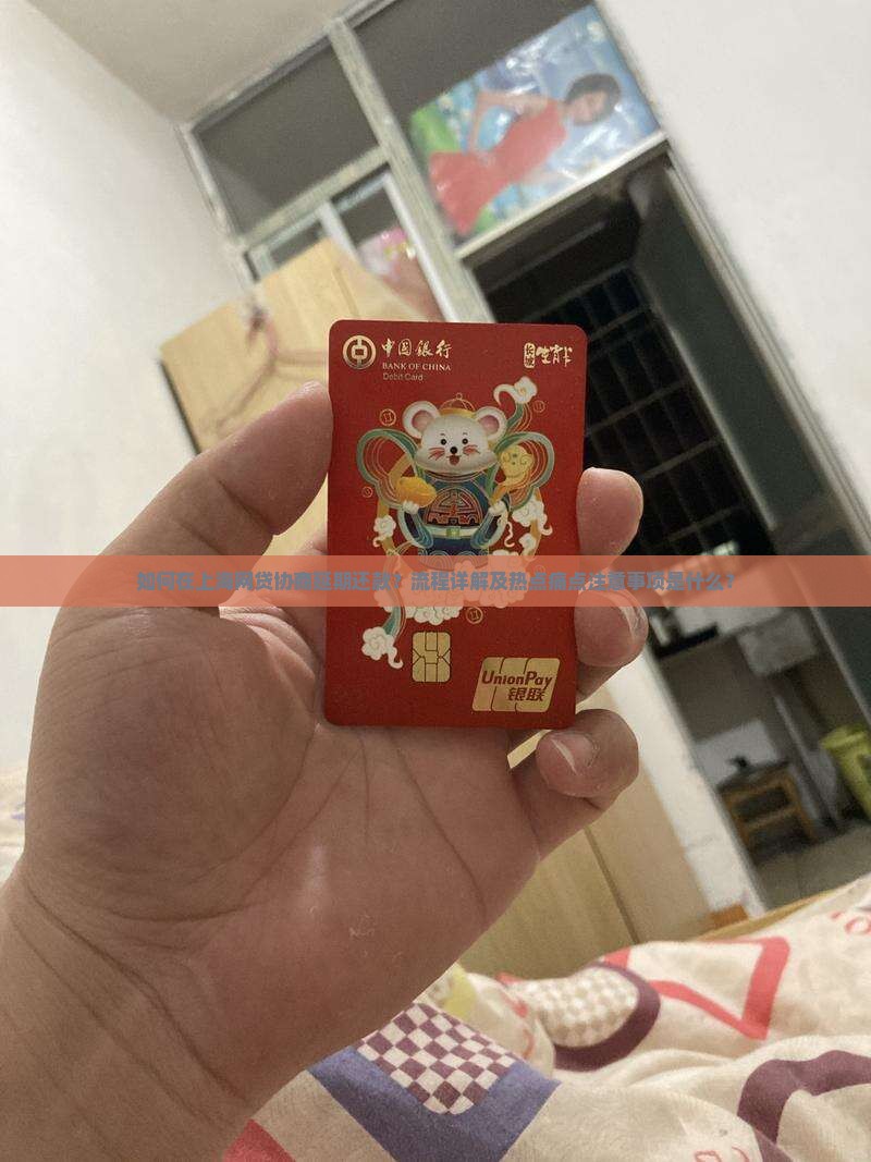 如何在上海网贷协商延期还款？流程详解及热点痛点注意事项是什么？