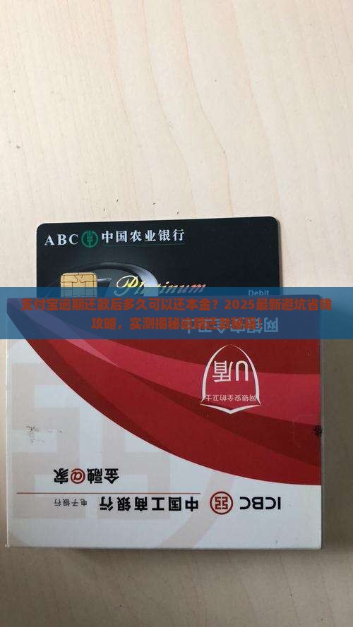 支付宝逾期还款后多久可以还本金