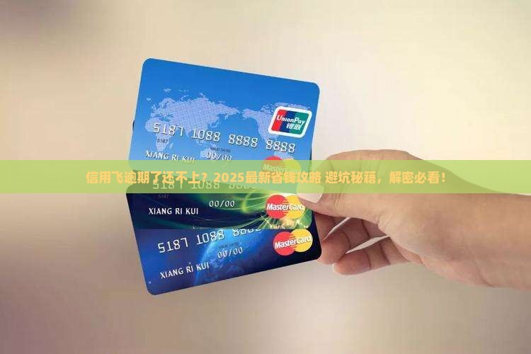 信用飞逾期了暂时还不上解决方案