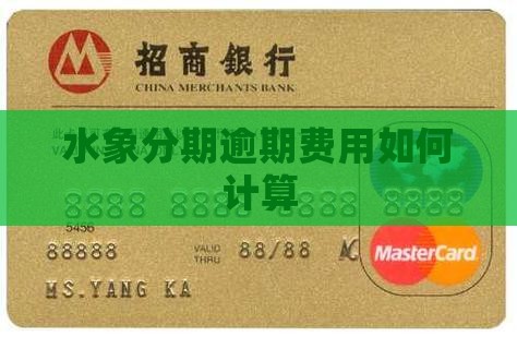 水象分期逾期费如何计算