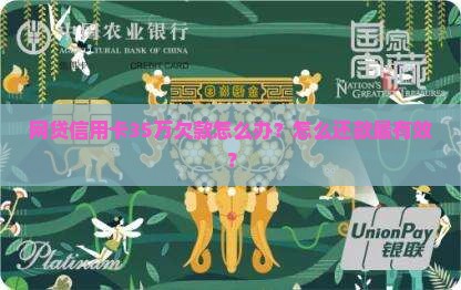 欠网贷信用卡35万怎么办还款方法