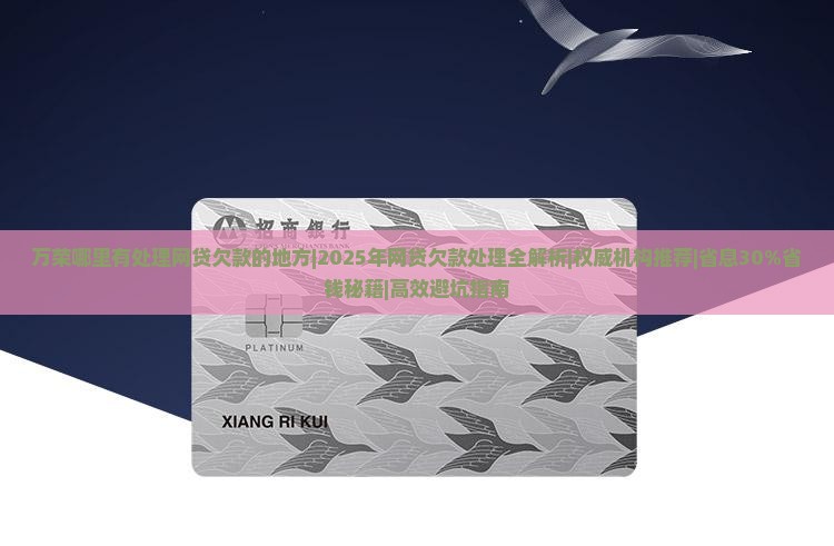 万荣哪里有处理网贷欠款的地方