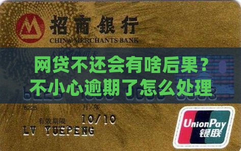 网贷不还有啥后果吗怎么办