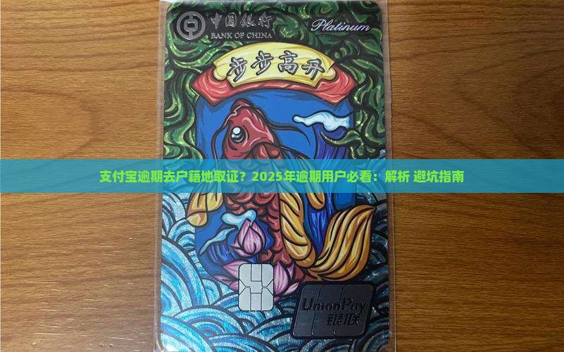 支付宝逾期去户籍地取证