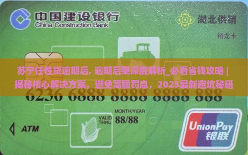 苏宁任性贷逾期后