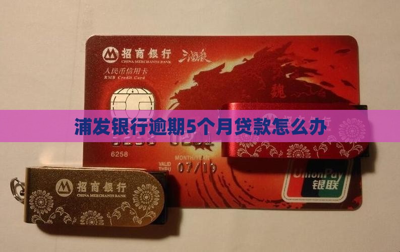 浦发银行逾期5个月贷款如何处理
