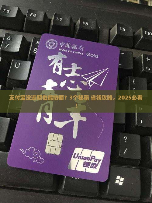 支付宝没有逾期能协商解决吗
