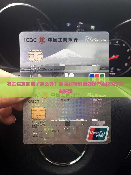 农金信贷逾期了怎么办处理方法