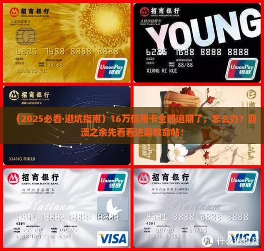 16万信用卡全部逾期怎么办