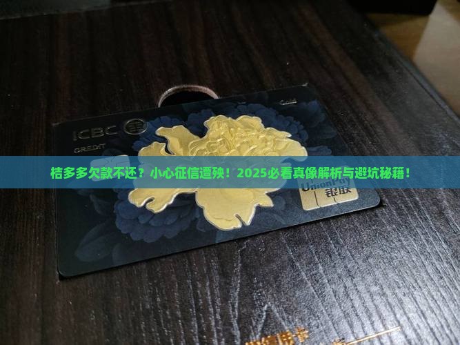 桔多多不还会上征信吗