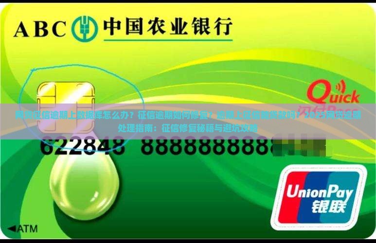 网贷征信逾期上数据库的解决方法