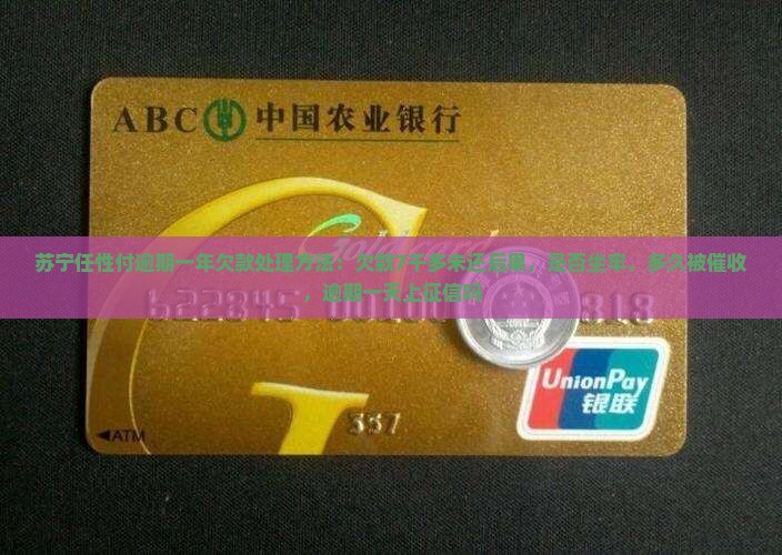 苏宁任性付逾期一年欠款处理方法