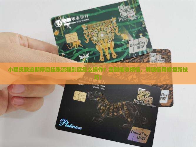小额贷款逾期停息挂账流程解析