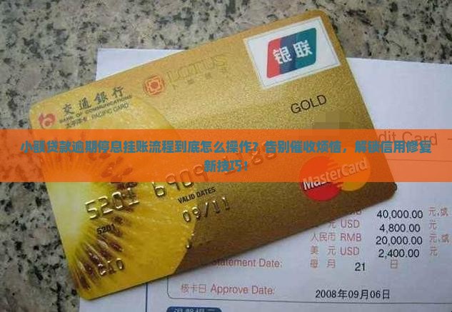 小额贷款逾期停息挂账流程解析