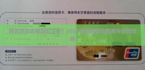 网贷贷款逾期后如何处理