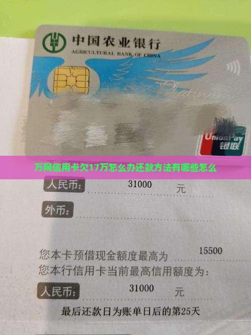 欠17万网贷信用卡怎么办还款方法有哪些 欠17万网贷信用卡怎么办还款方法有哪些