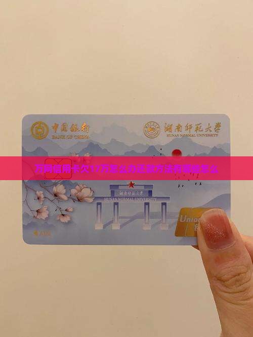 欠17万网贷信用卡怎么办还款方法有哪些 欠17万网贷信用卡怎么办还款方法有哪些