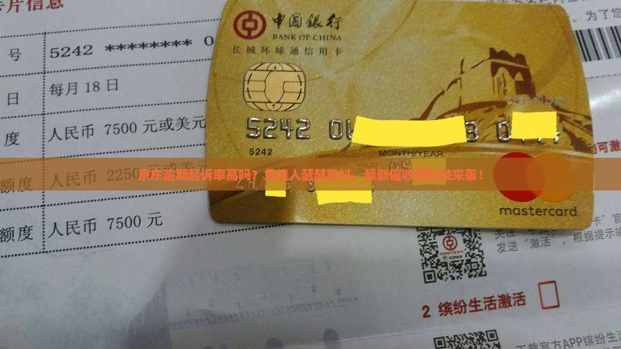 京东逾期起诉率高吗