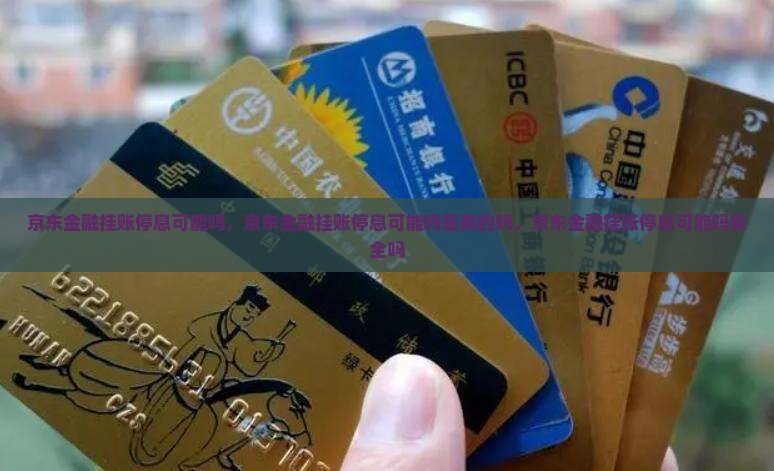 京东金融挂账停息可能吗