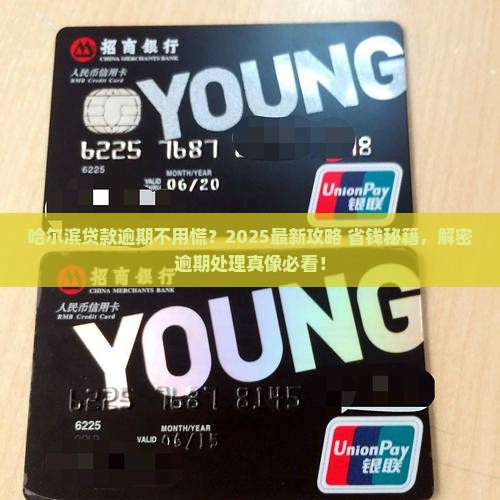 哈尔滨贷款逾期如何处理贷款逾期怎么办理