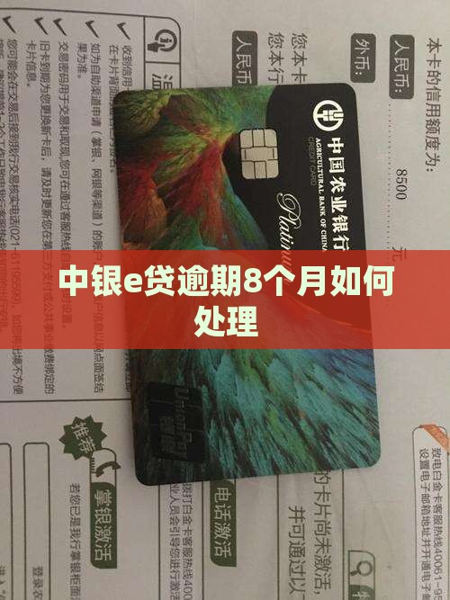 中银e贷逾期8个月如何处理
