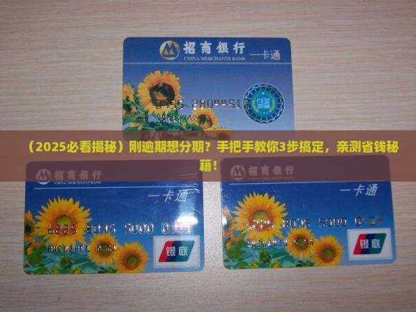 放心借逾期可以协商分期付款吗